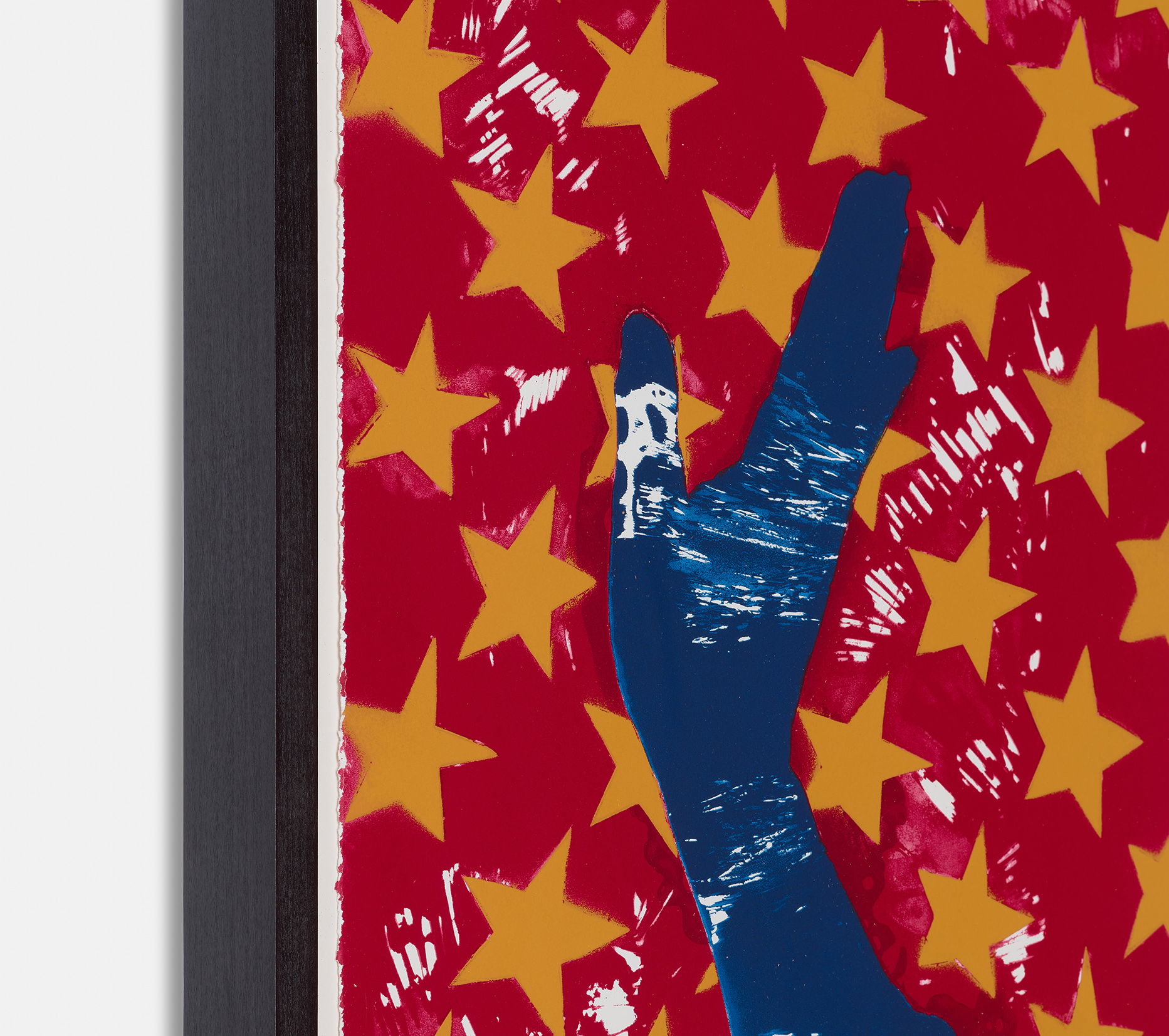 Stars and Stripes IV image #2