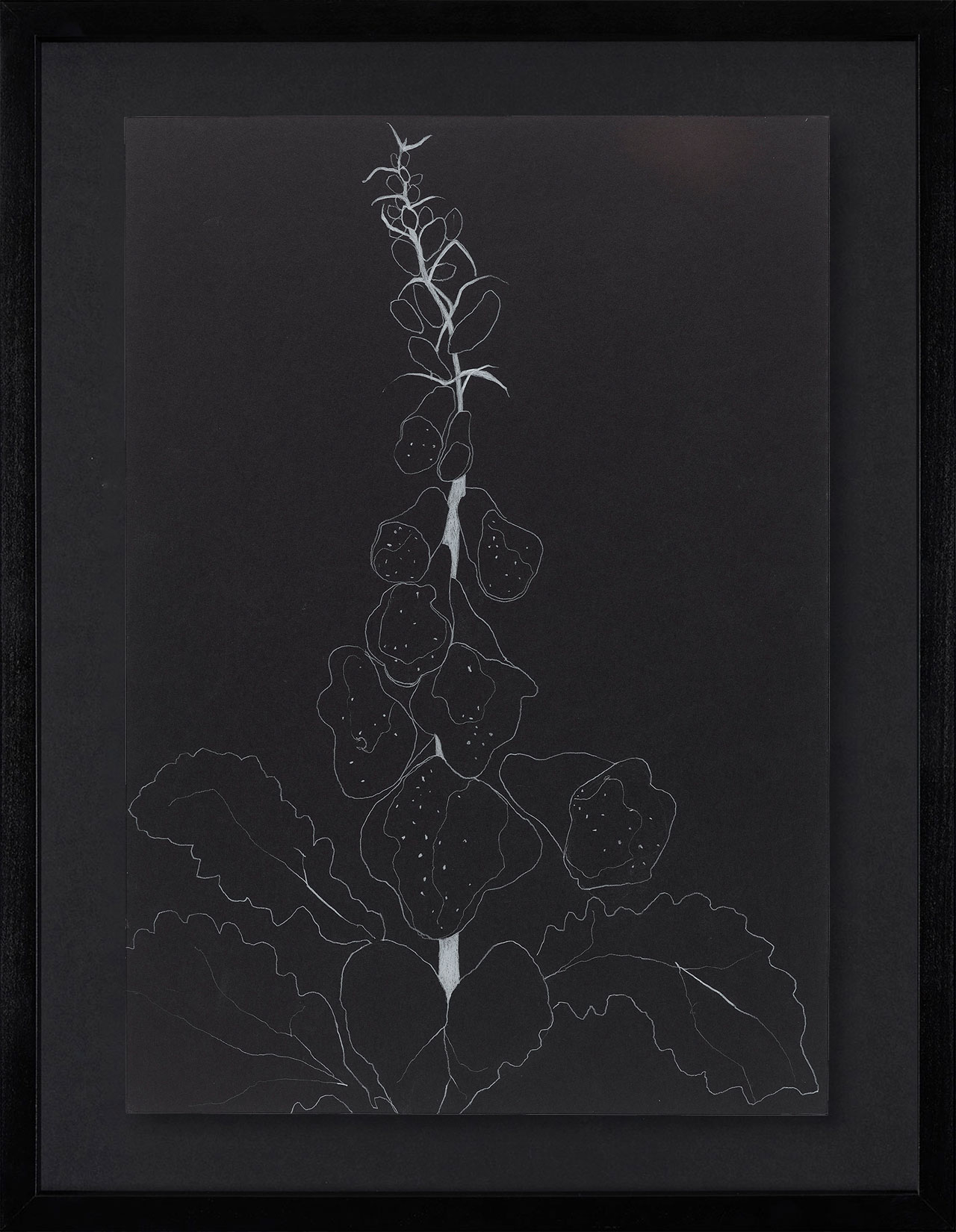 Peel Cottage Garden 1 main image