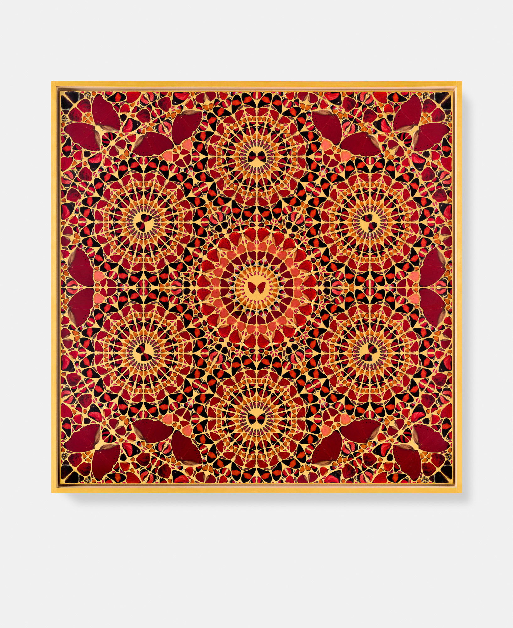 Maria Theresa / Josephine / Agrippina / Babusha / Pompeia Plotina 6