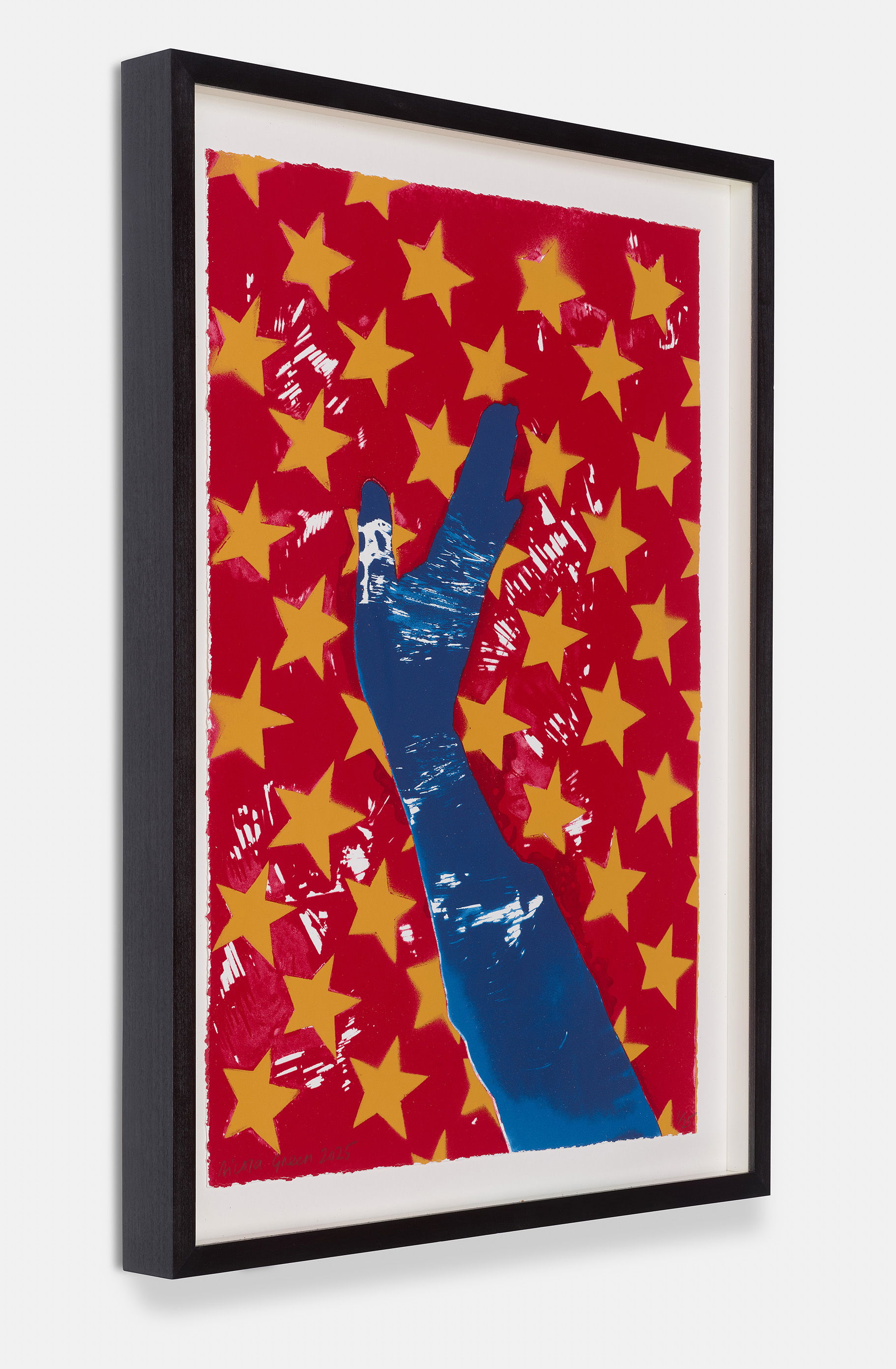 Stars and Stripes IV image #3