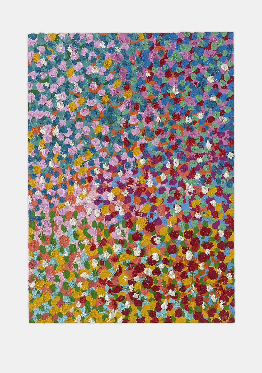 Elated Veil 1 main image