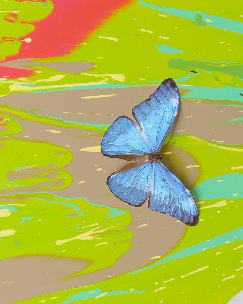 Beautiful Basically Biological Painting (with Butterflies) 3