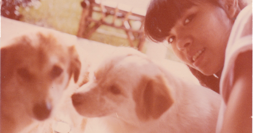 Spring 2026 highlights