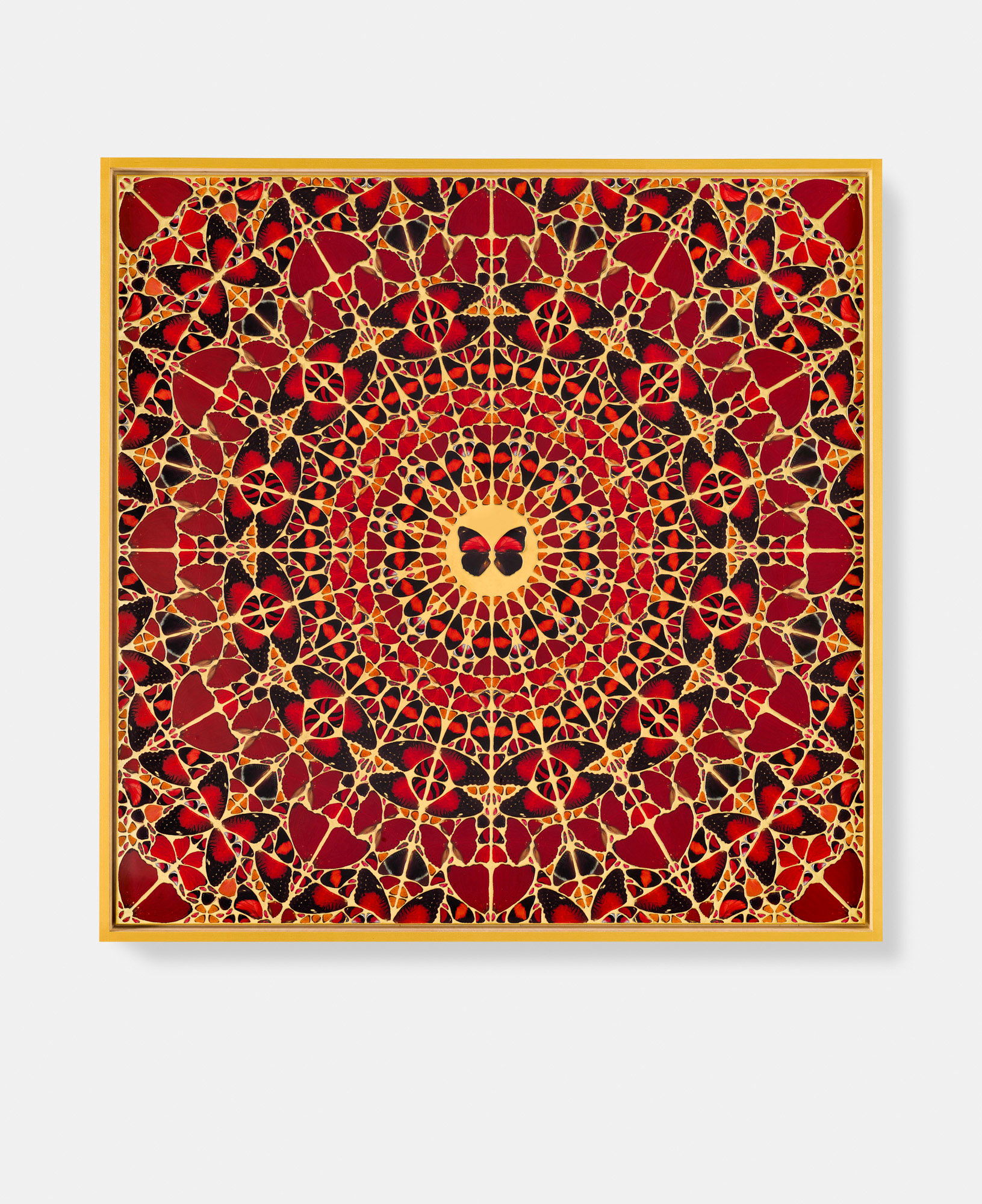 Gaohou / Nambui / Lucilla / Jeguk / Anna 2