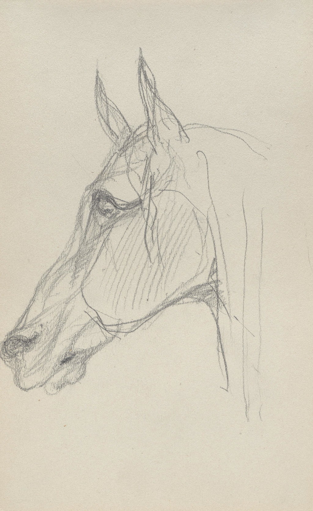 Horse's Head by Henri de Toulouse-Lautrec sold for $26,300 (1199% above estimate). Image courtesy of Christie's