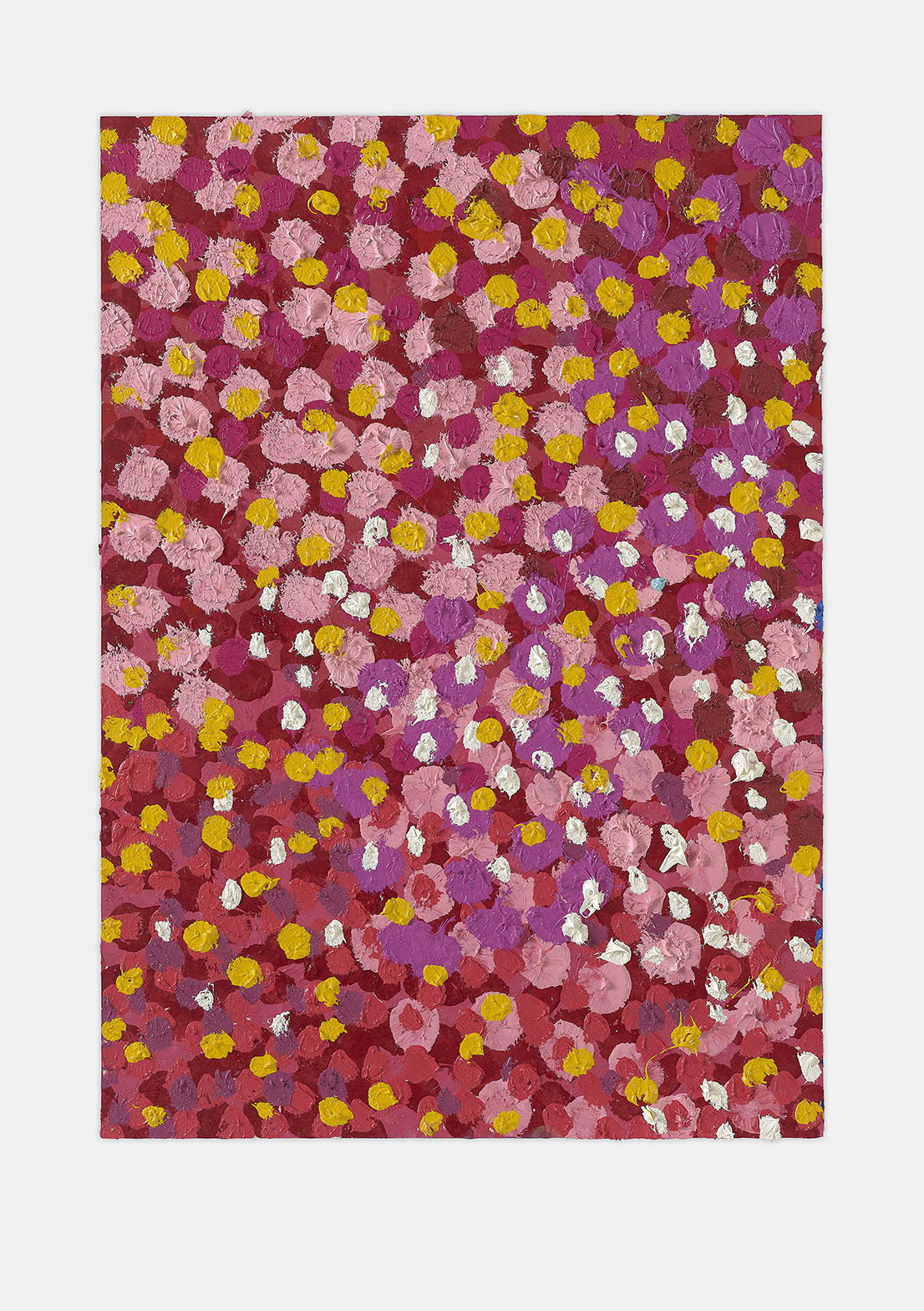 Daring Veil 1 main image