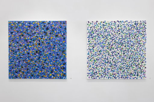 Photo reportage from the exhibition 'Selected Constraints' by Vano Allsalu at the Draakon Gallery