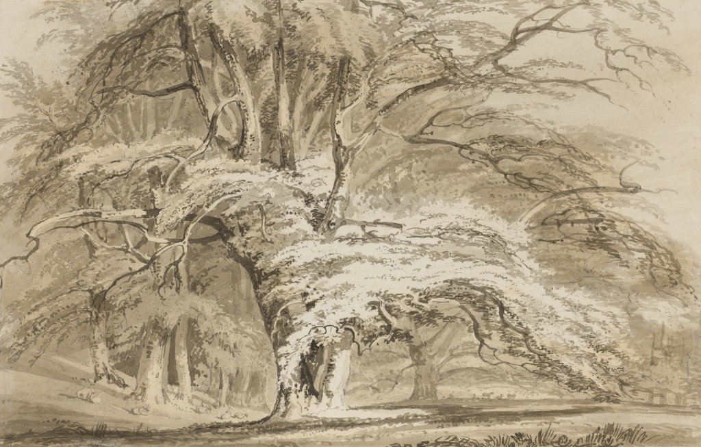 Beech Trees at Cassiobury Park, Hertfordshire by J.M.W. Turner sold for $149,100. Image courtesy of Sotheby's