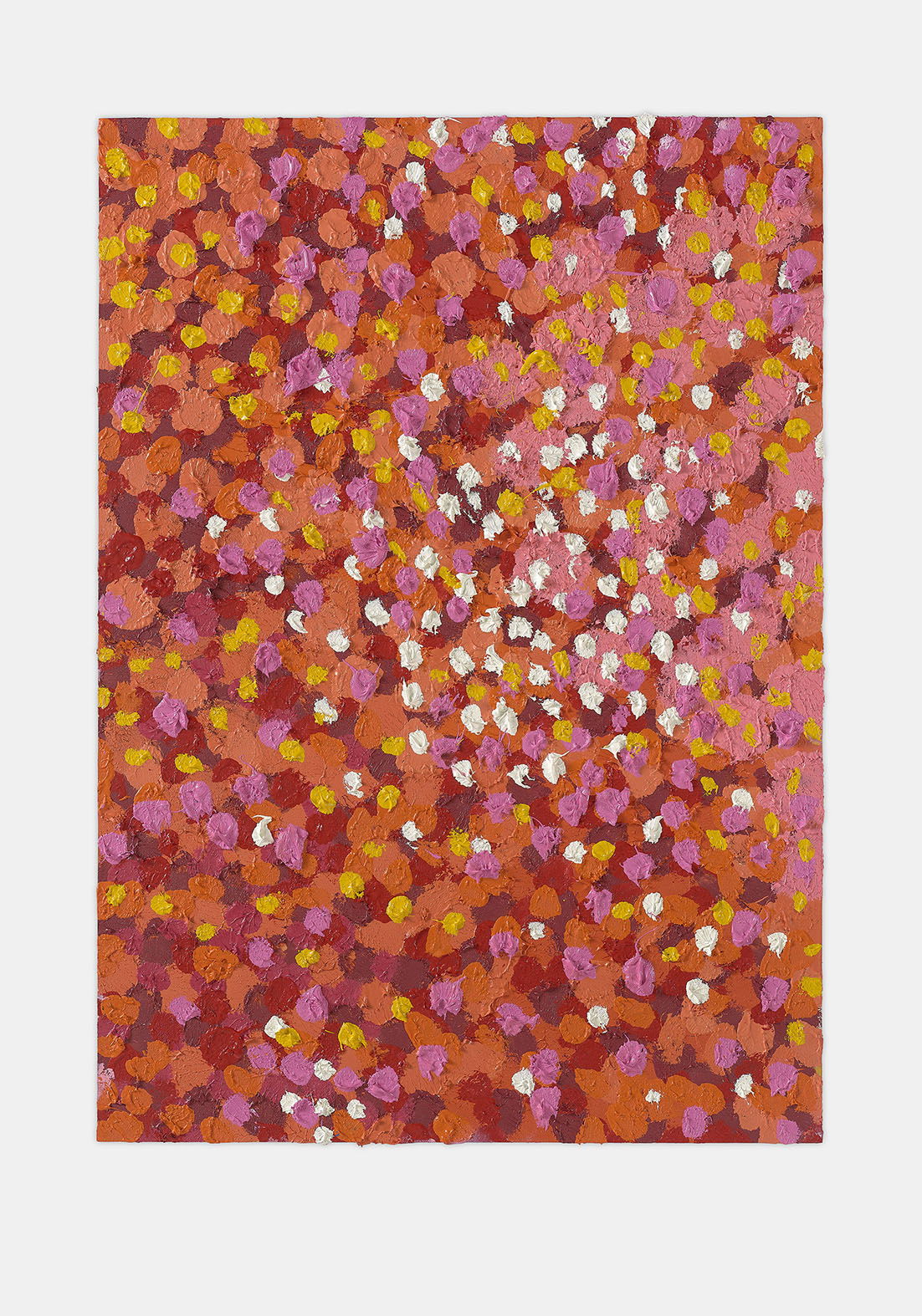 Qualified Veil 1 main image