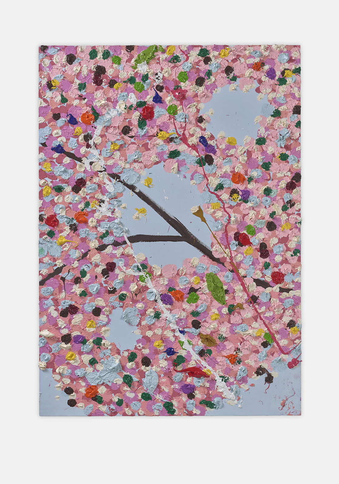 Sanctuary Blossom 1 main image