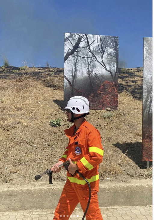 Wildfire exhibition catches fire