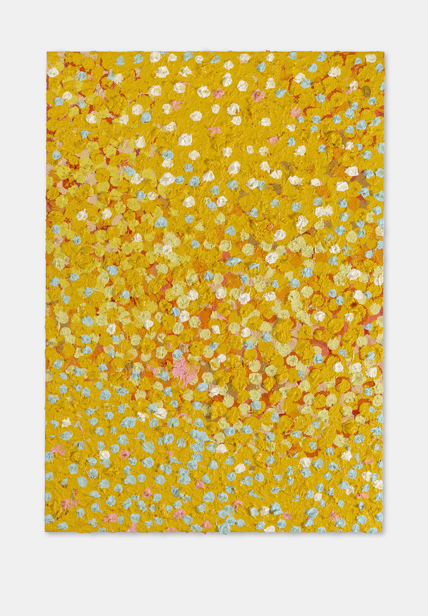 Debonaire Veil 1 main image