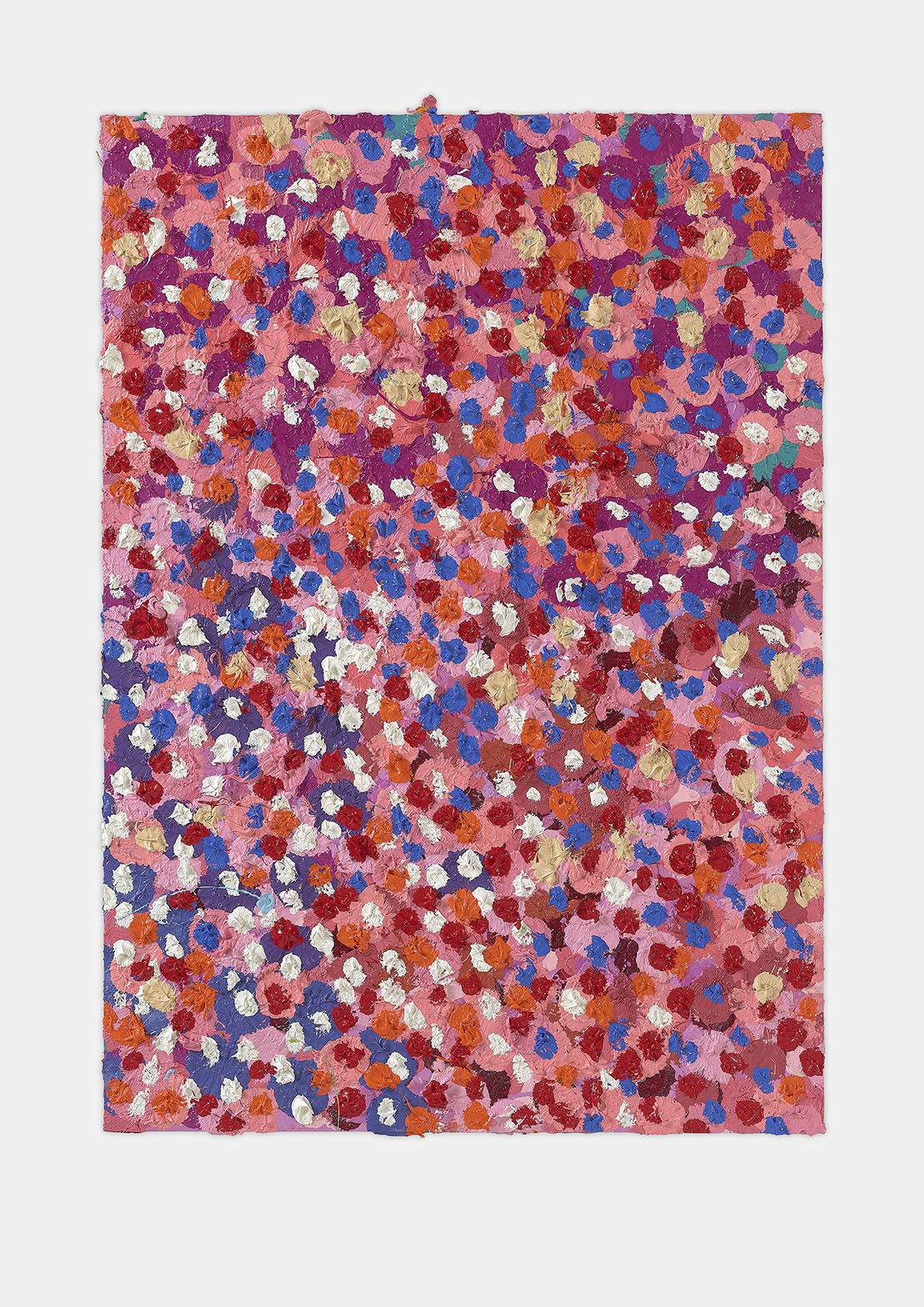 Beautiful Veil 1 main image