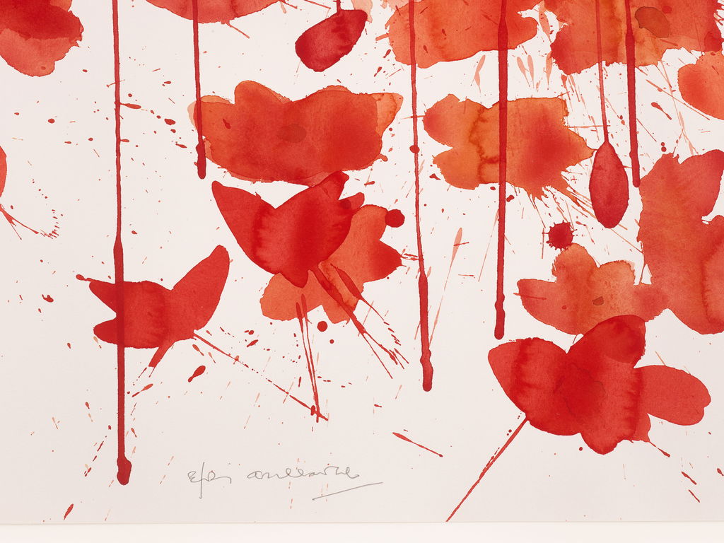 Vibrancy and Grace image #2