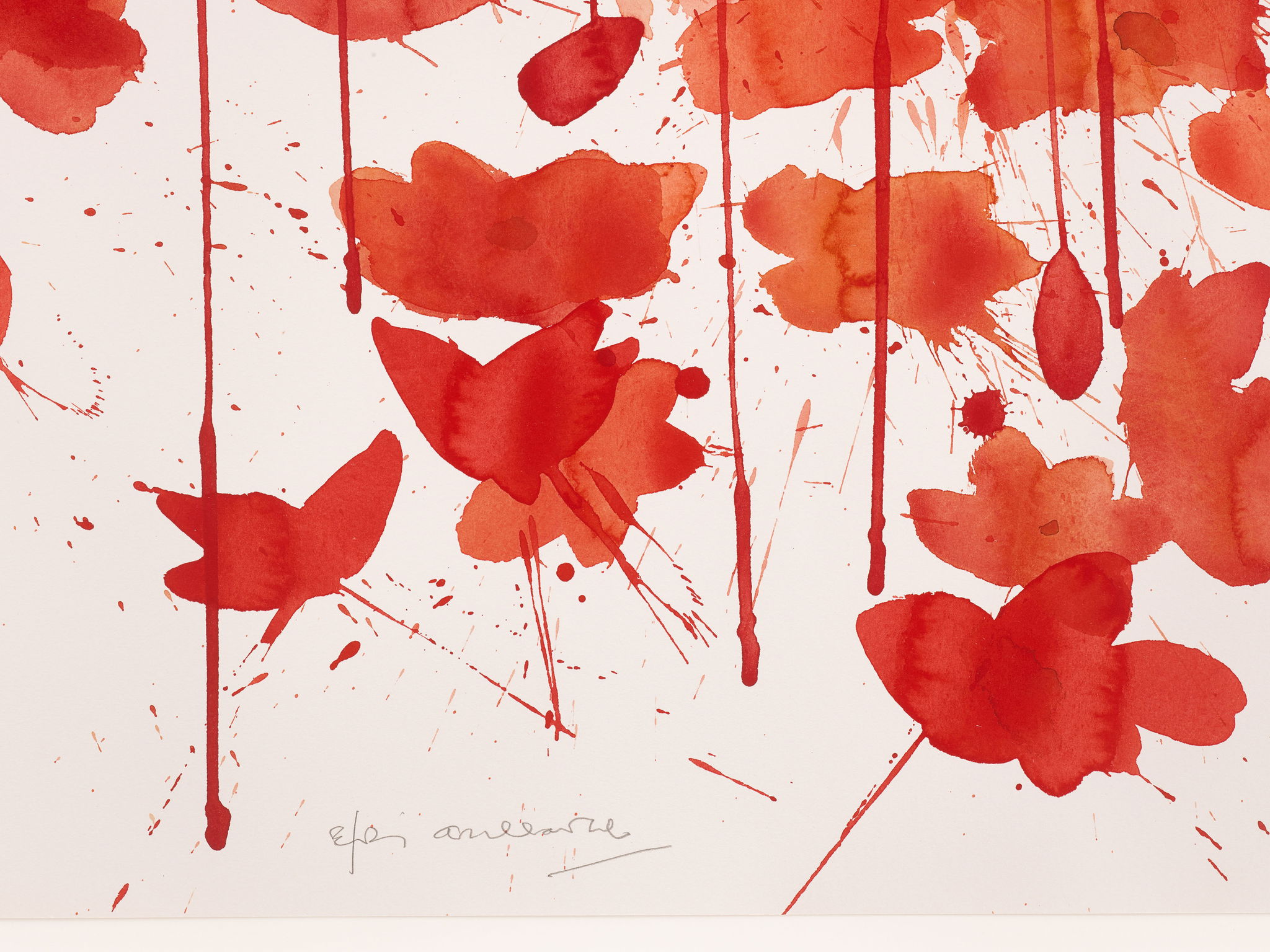 Vibrancy and Grace image #2