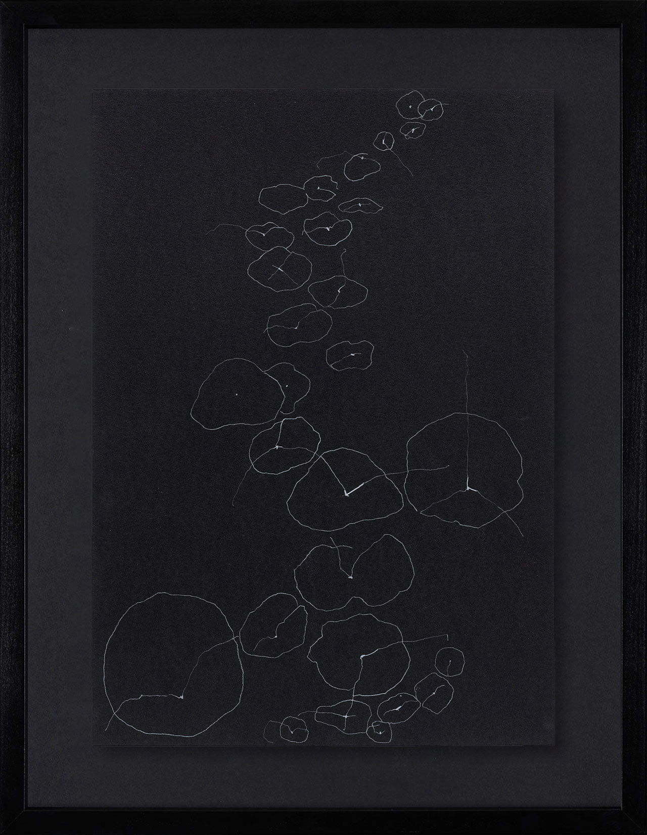 Peel Cottage Garden  1 main image