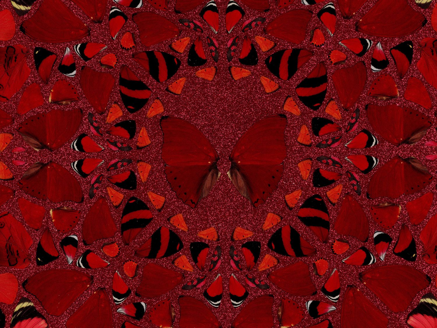 Nūr Jahān image #2