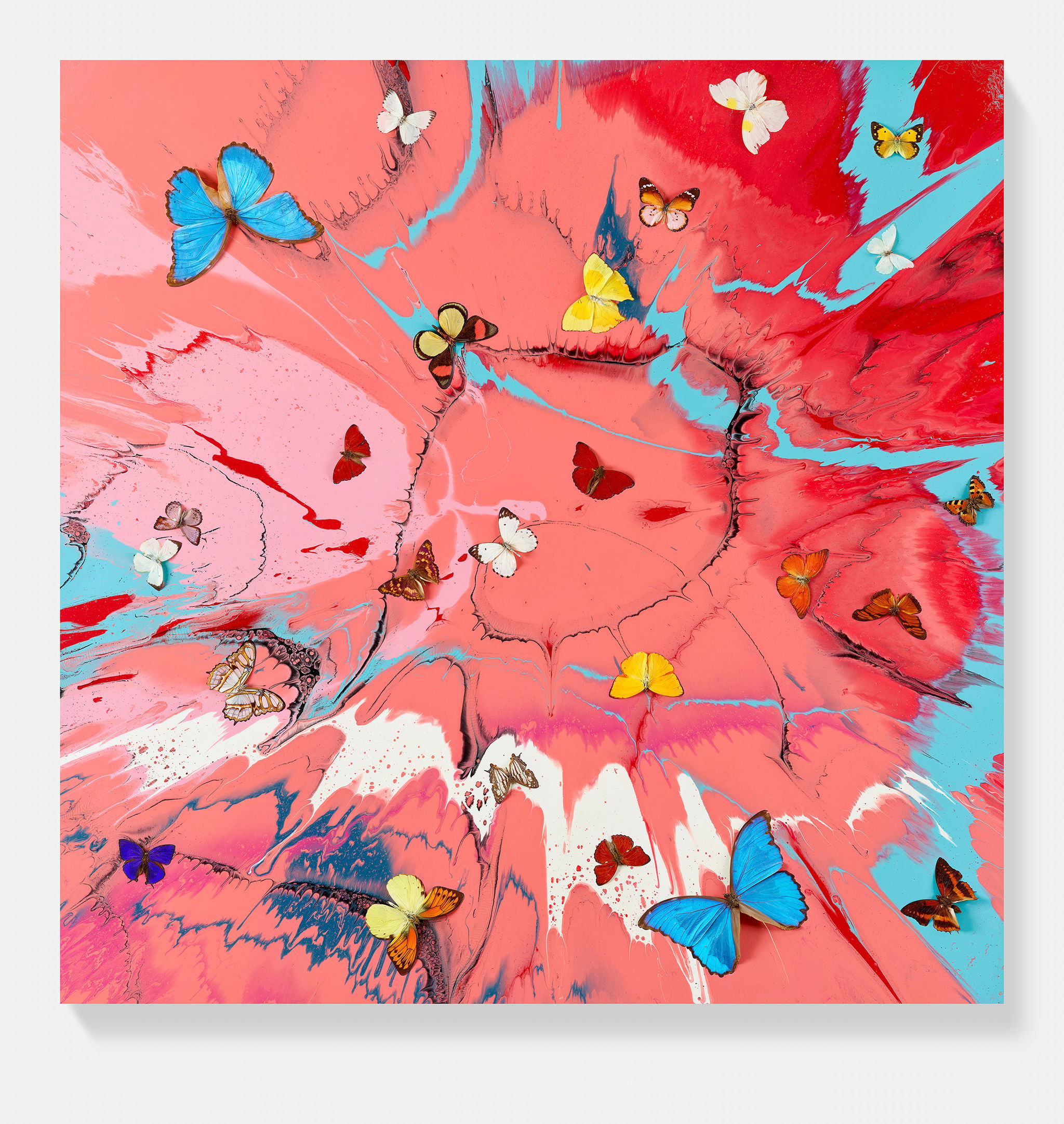 Angelic Seraph image #1 main image