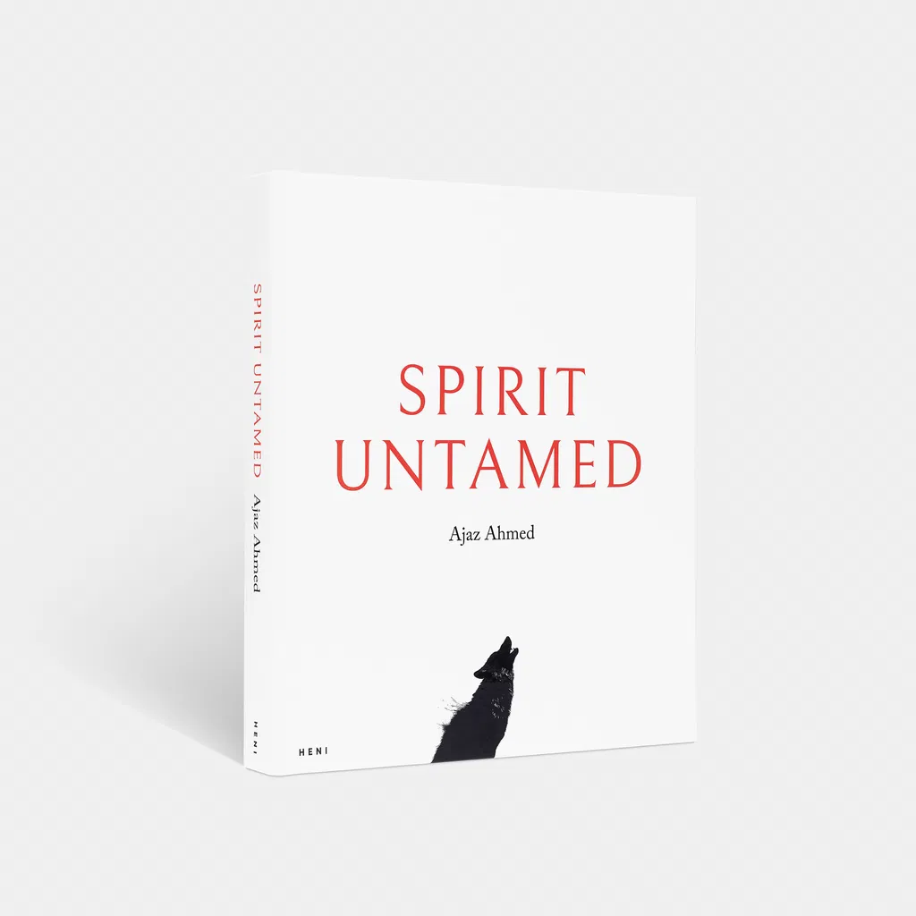 Spirit Untamed image #2