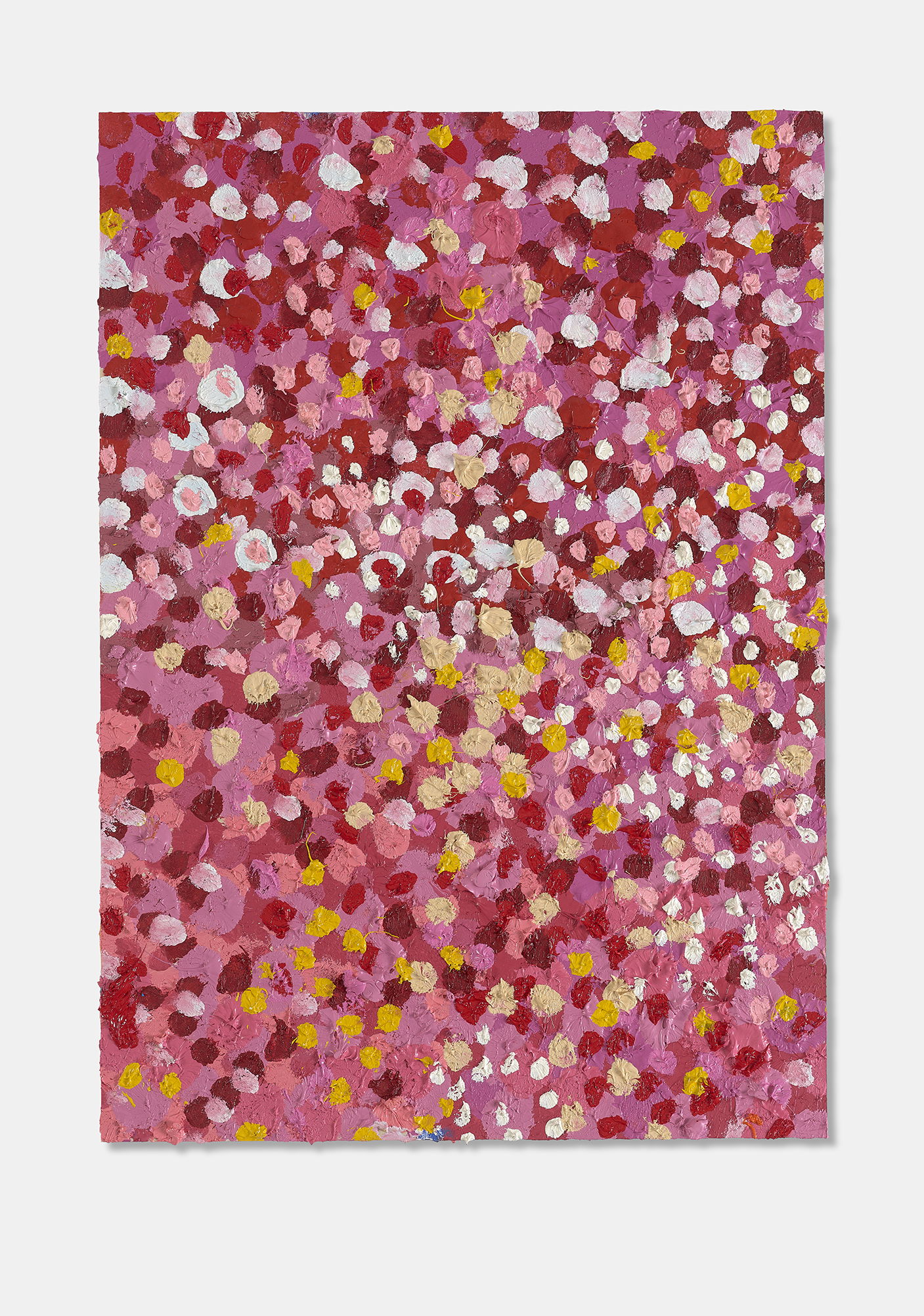 Invincible Veil 1 main image