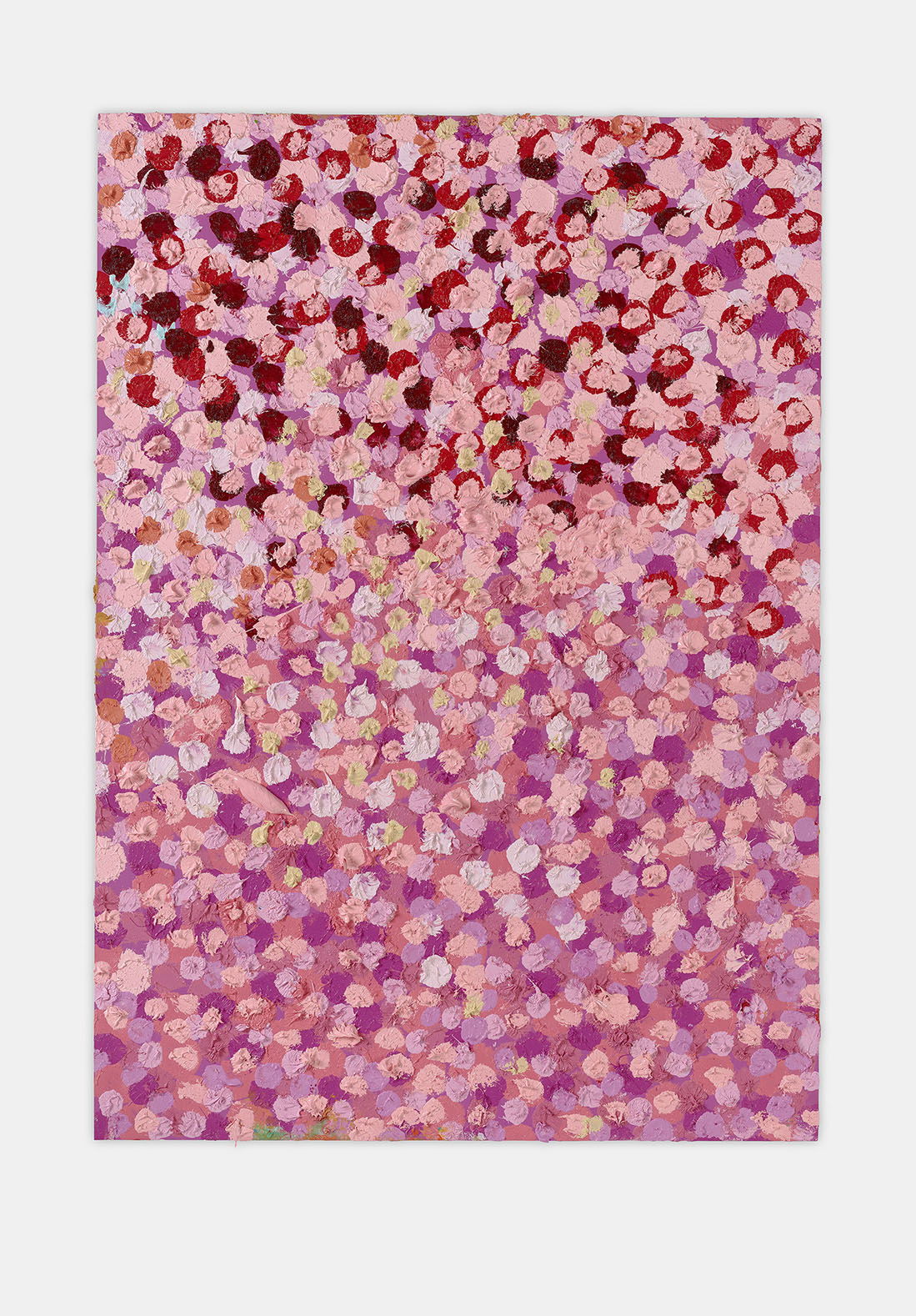 Creative Veil 1 main image