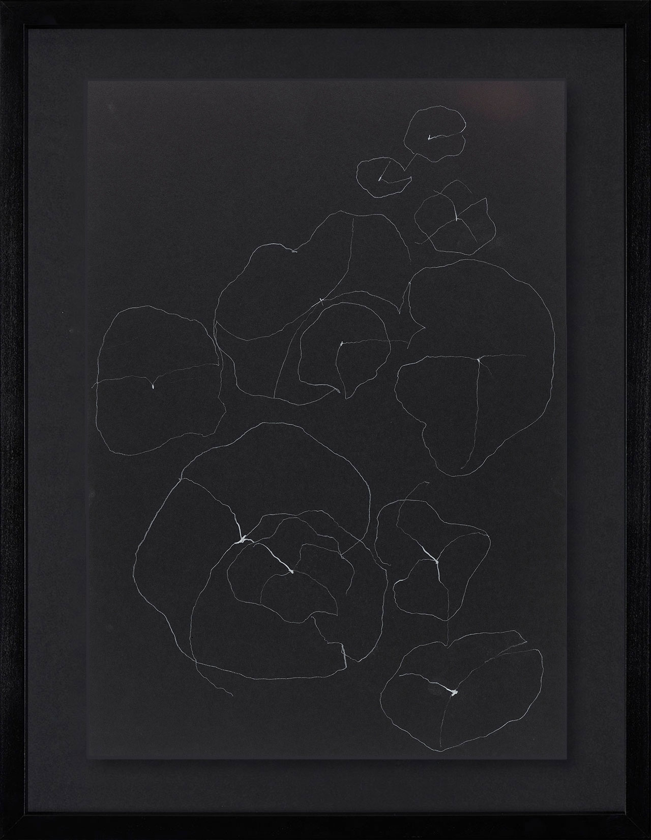 Peel Cottage Garden  1 main image