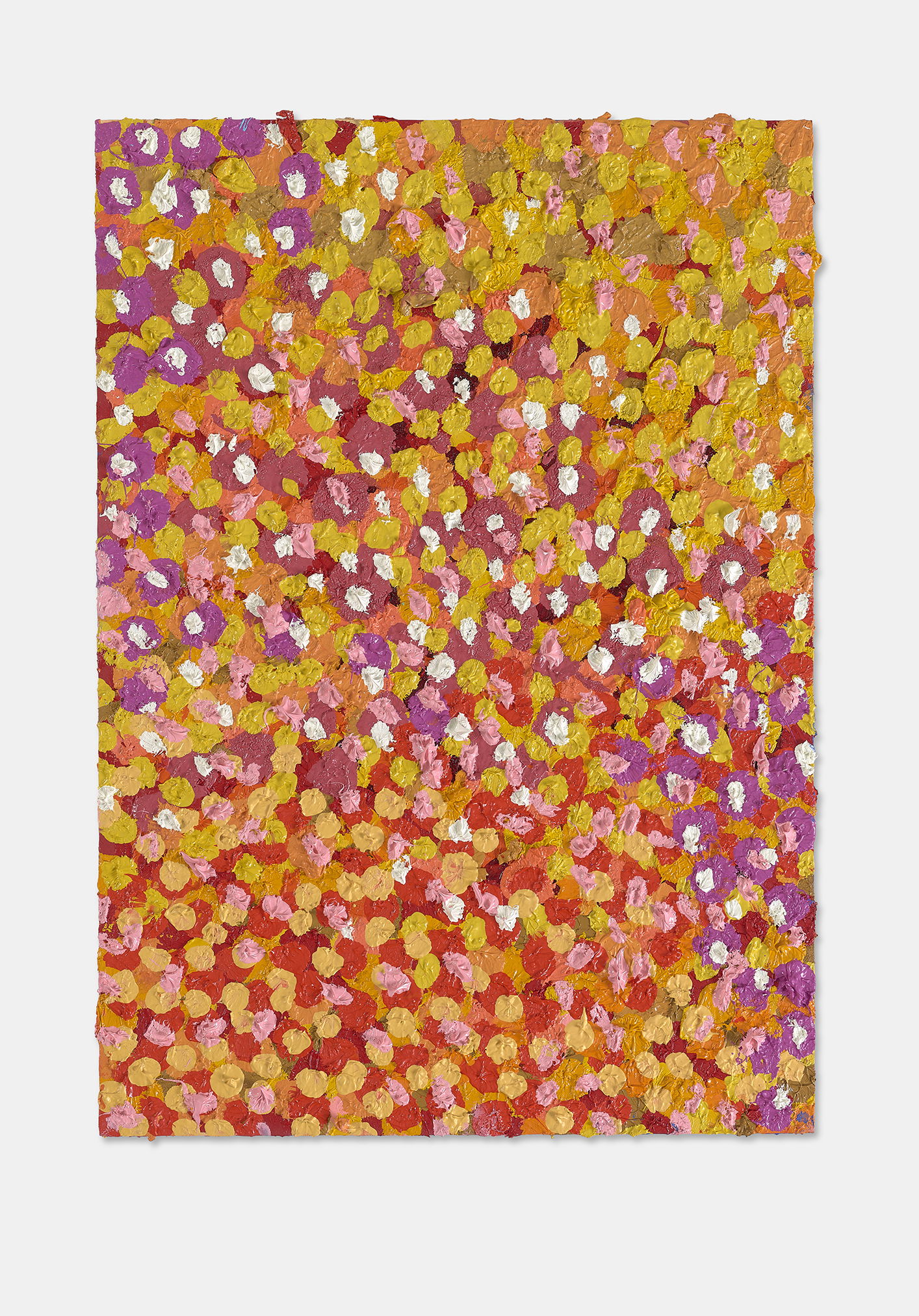 Enviable Veil 1 main image