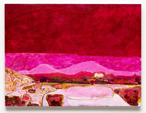 Lisa Sanditz’s provocative omissions