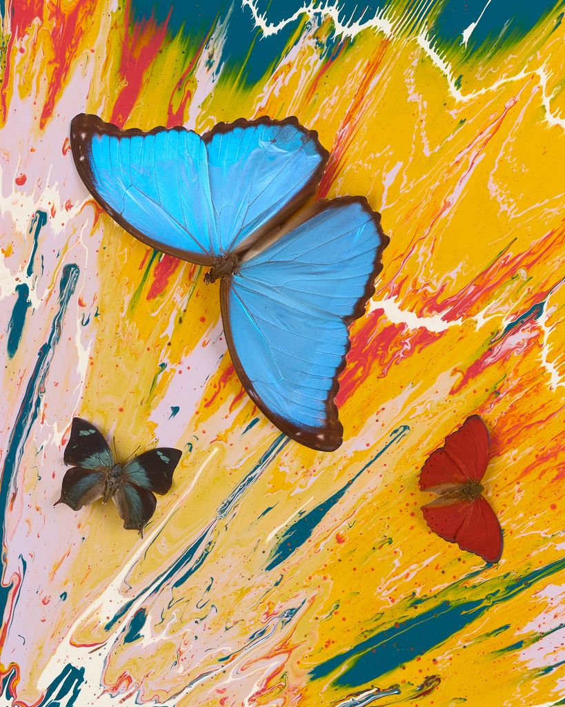 Beautiful Eye Gazing Painting (with Butterflies) 3