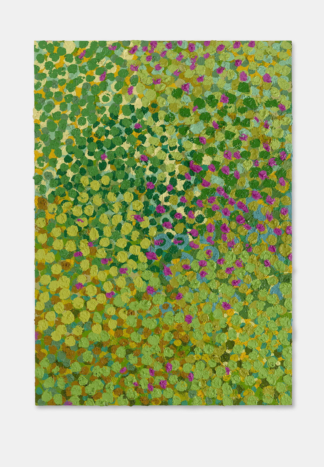 Vigilant Veil 1 main image