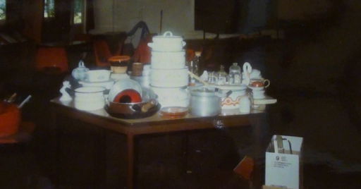 Winnie Herbstein: We Need to Speak about Living Room