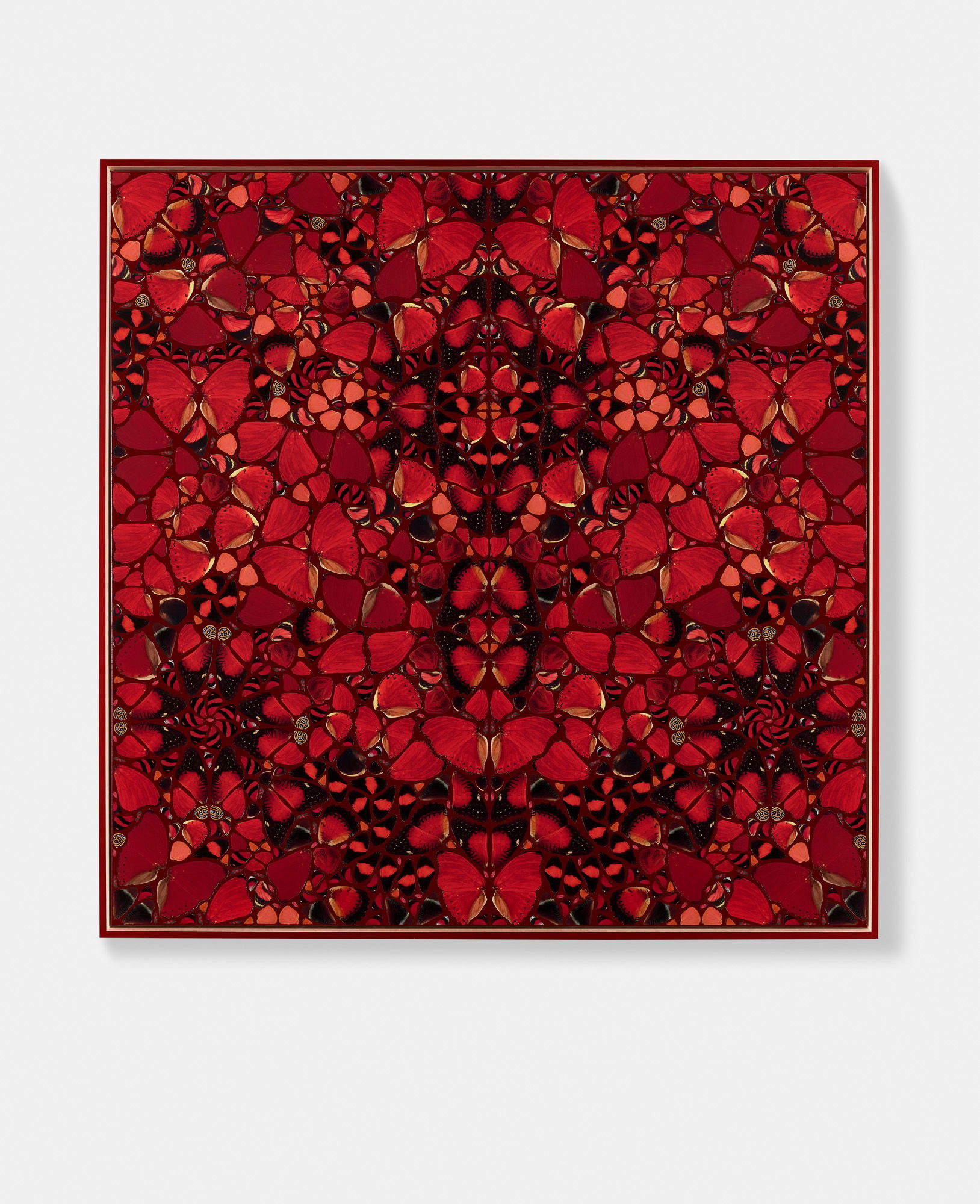 Maria Amalia 1 main image