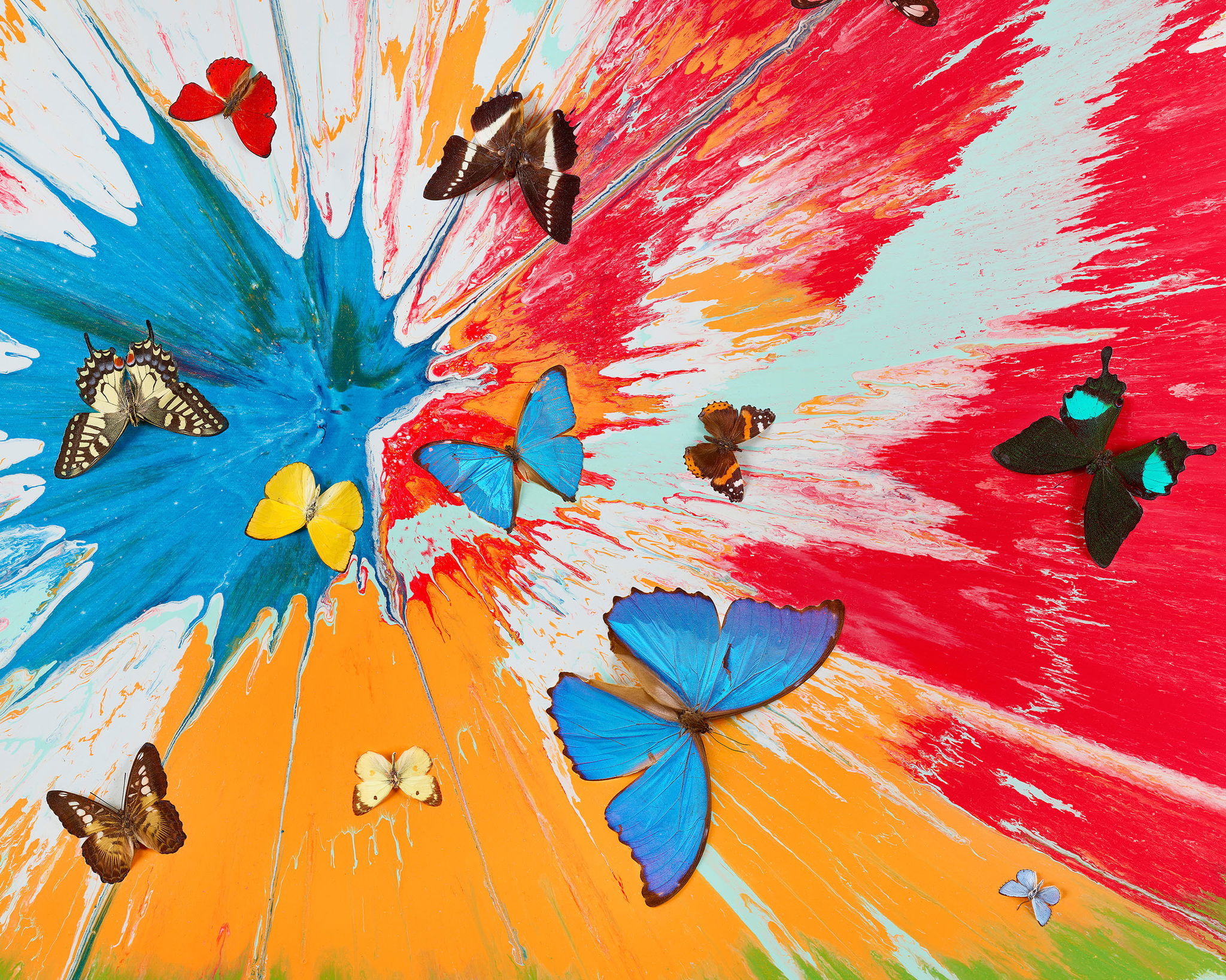 Ethereal Nymph image #2