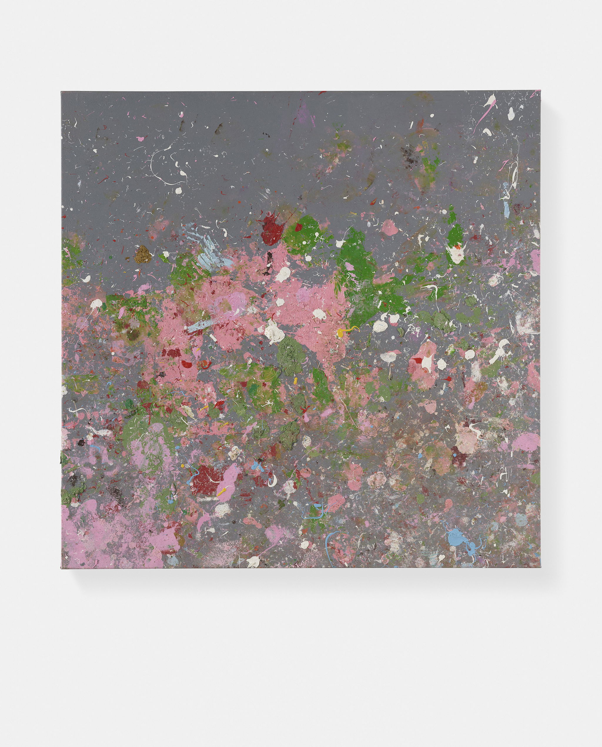 Sugary Cove 1 main image