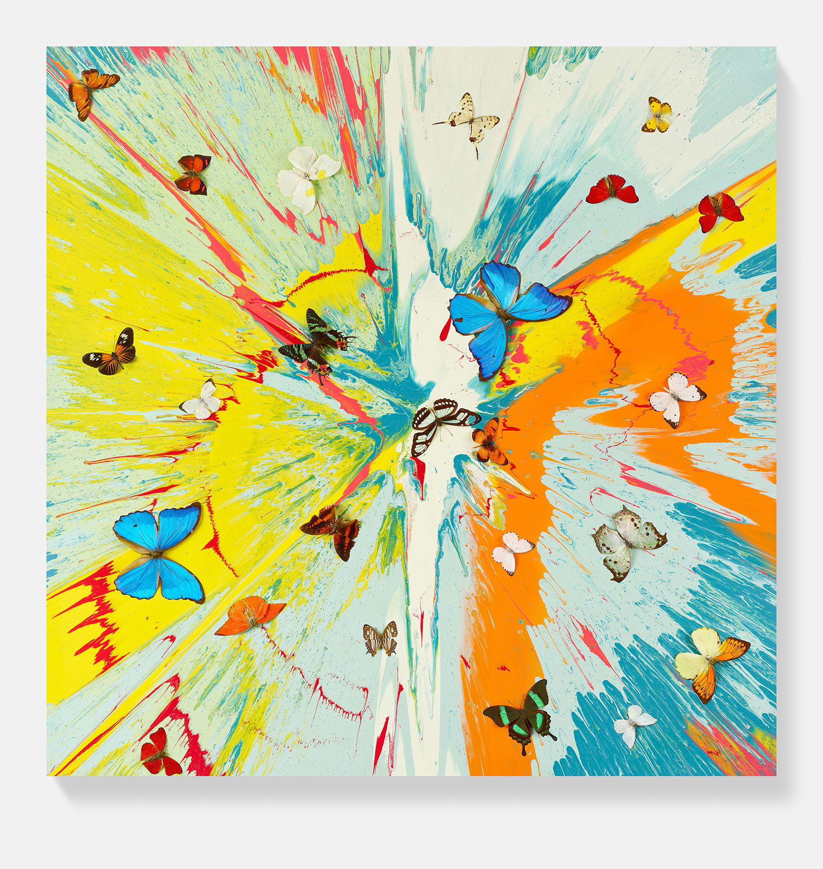 Transient Ephemera image #1 main image