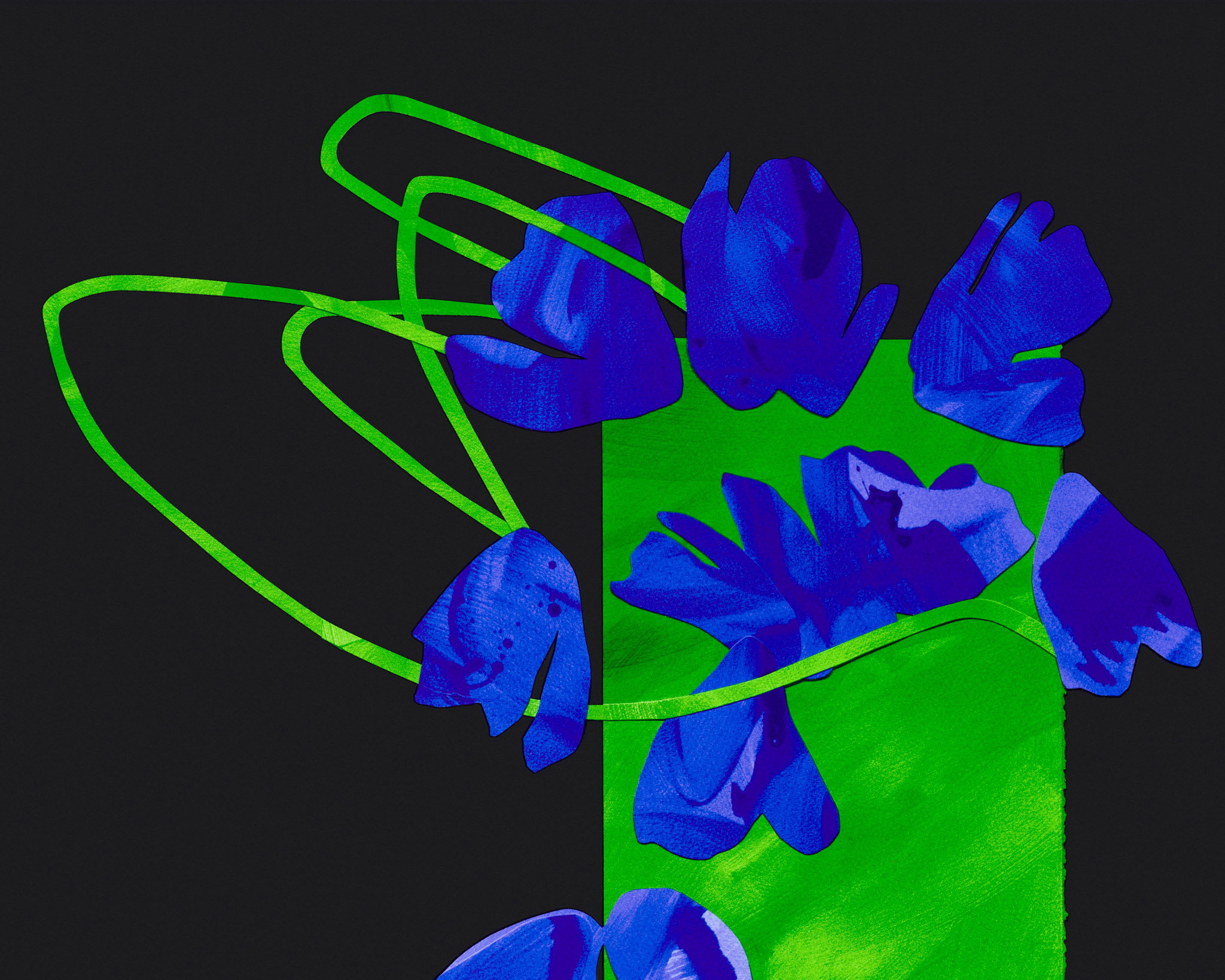 Whip of Green image #3