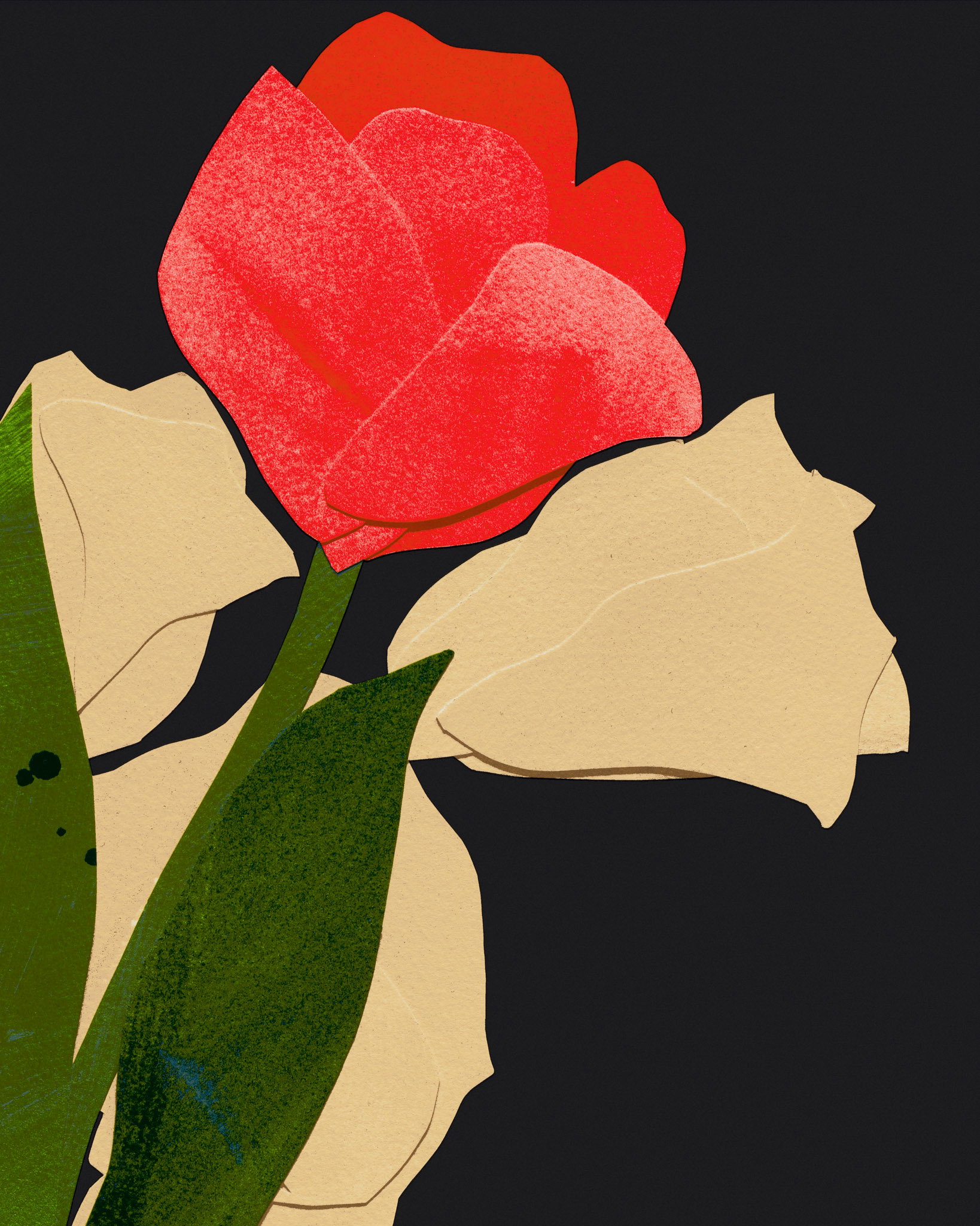 Bloom at the Edge of Midnight image #2