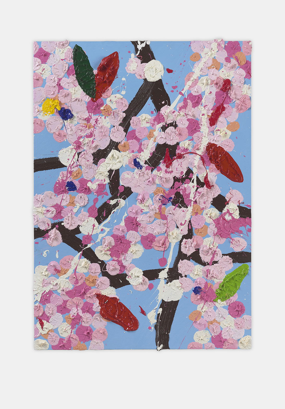 Inquisitive Blossom 1 main image