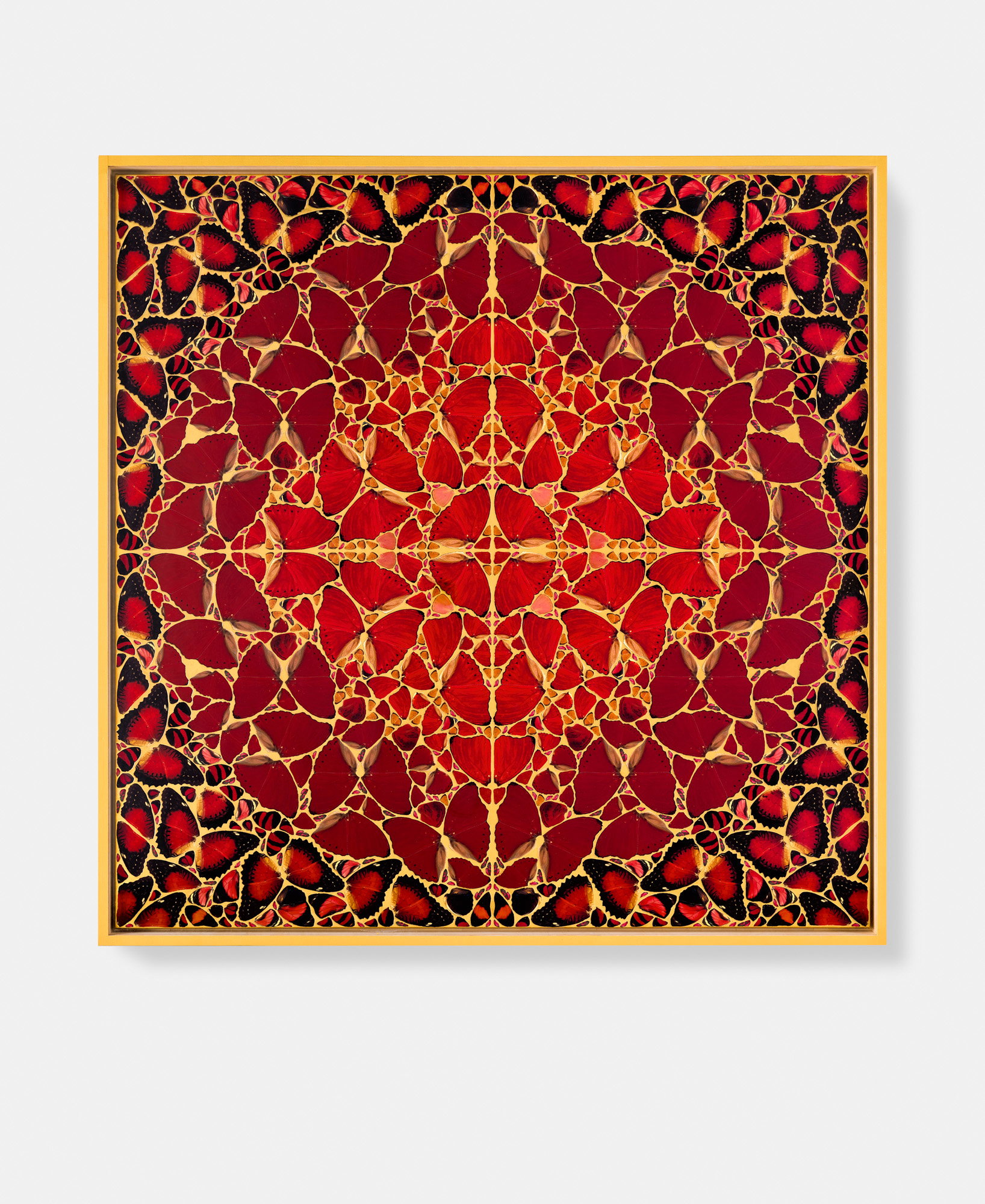 Maria Theresa / Josephine / Agrippina / Babusha / Pompeia Plotina 4