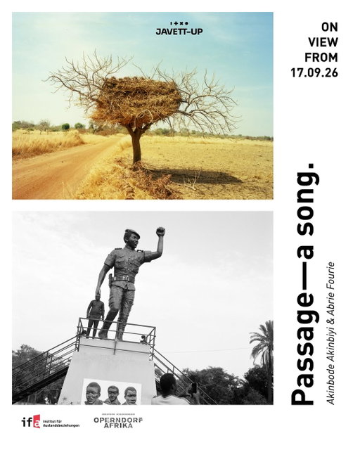 Listening to the Landscape: Akinbode Akinbiyi and Abrie Fourie at Javett-UP