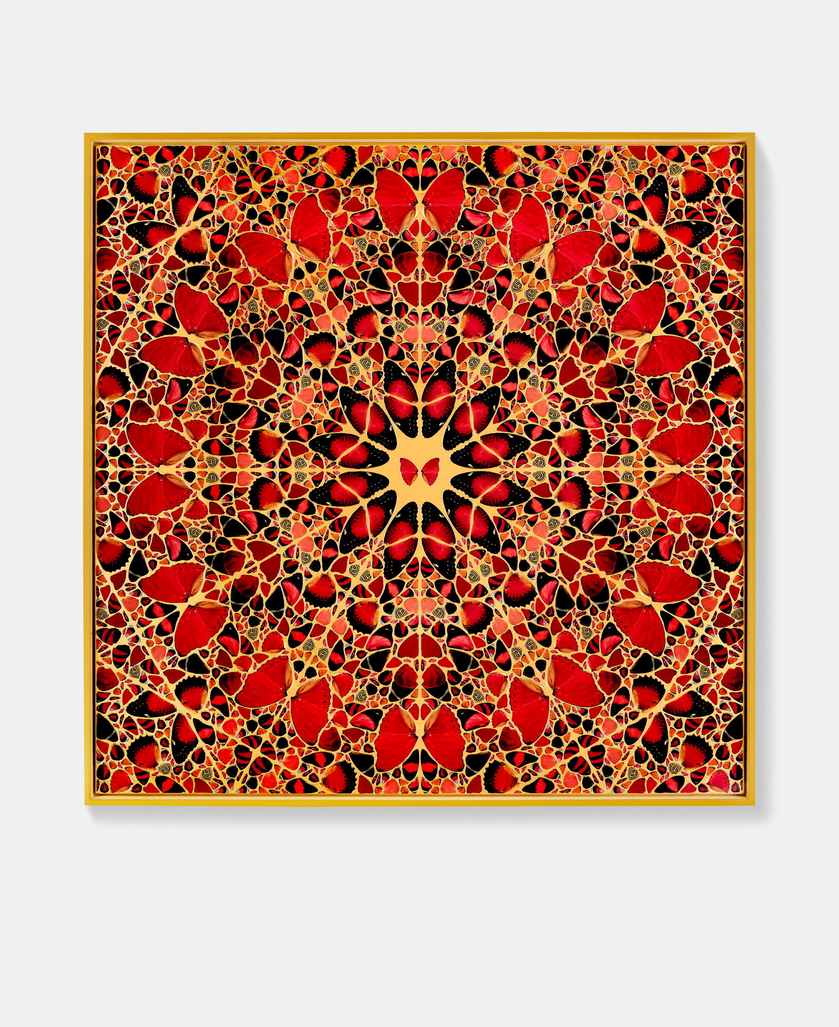 Xiaoyichun 1 main image