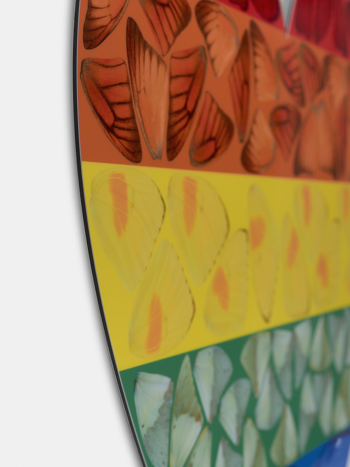 Butterfly Heart (Large) image #5