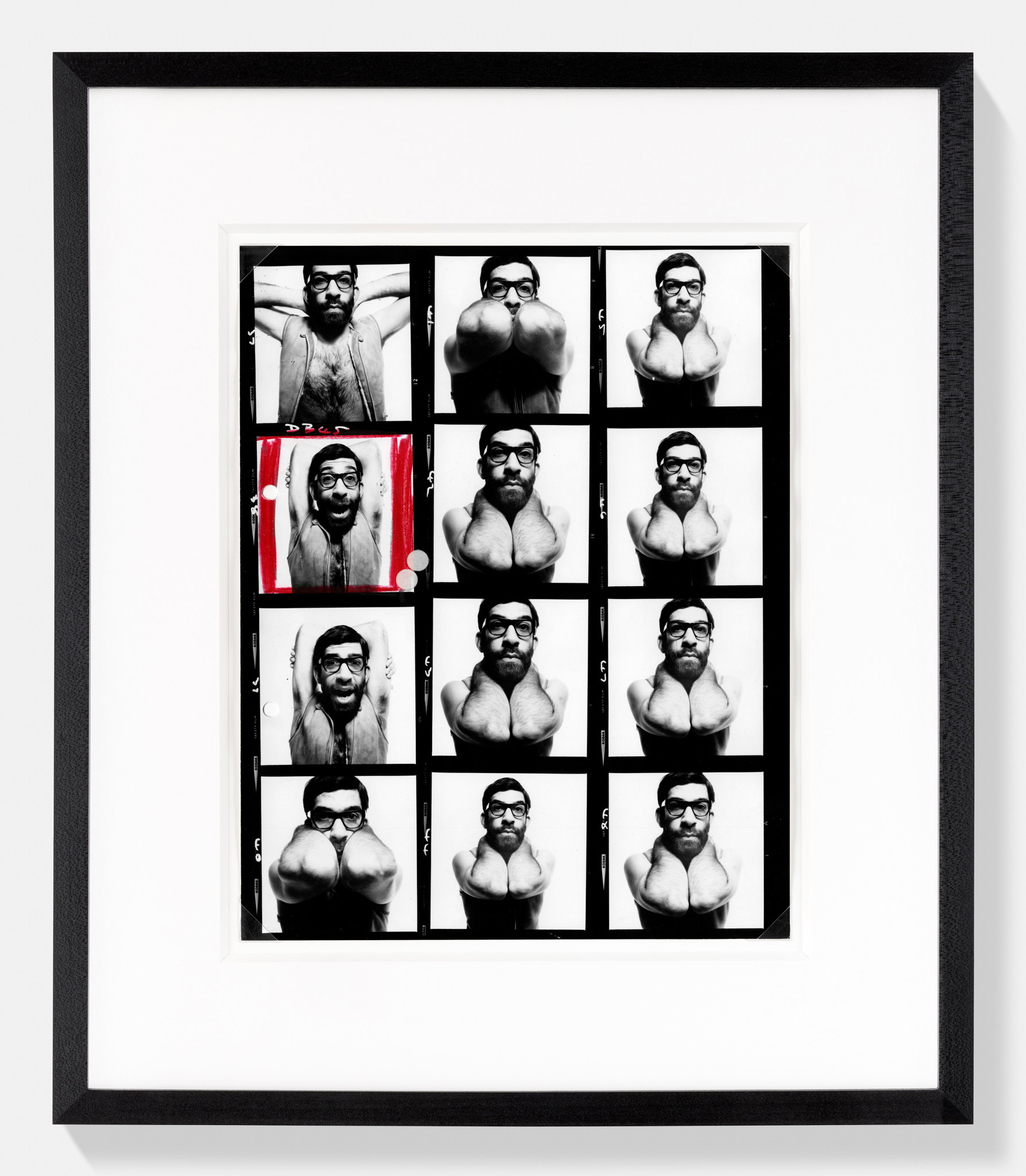 Max Maxwell 1 main image