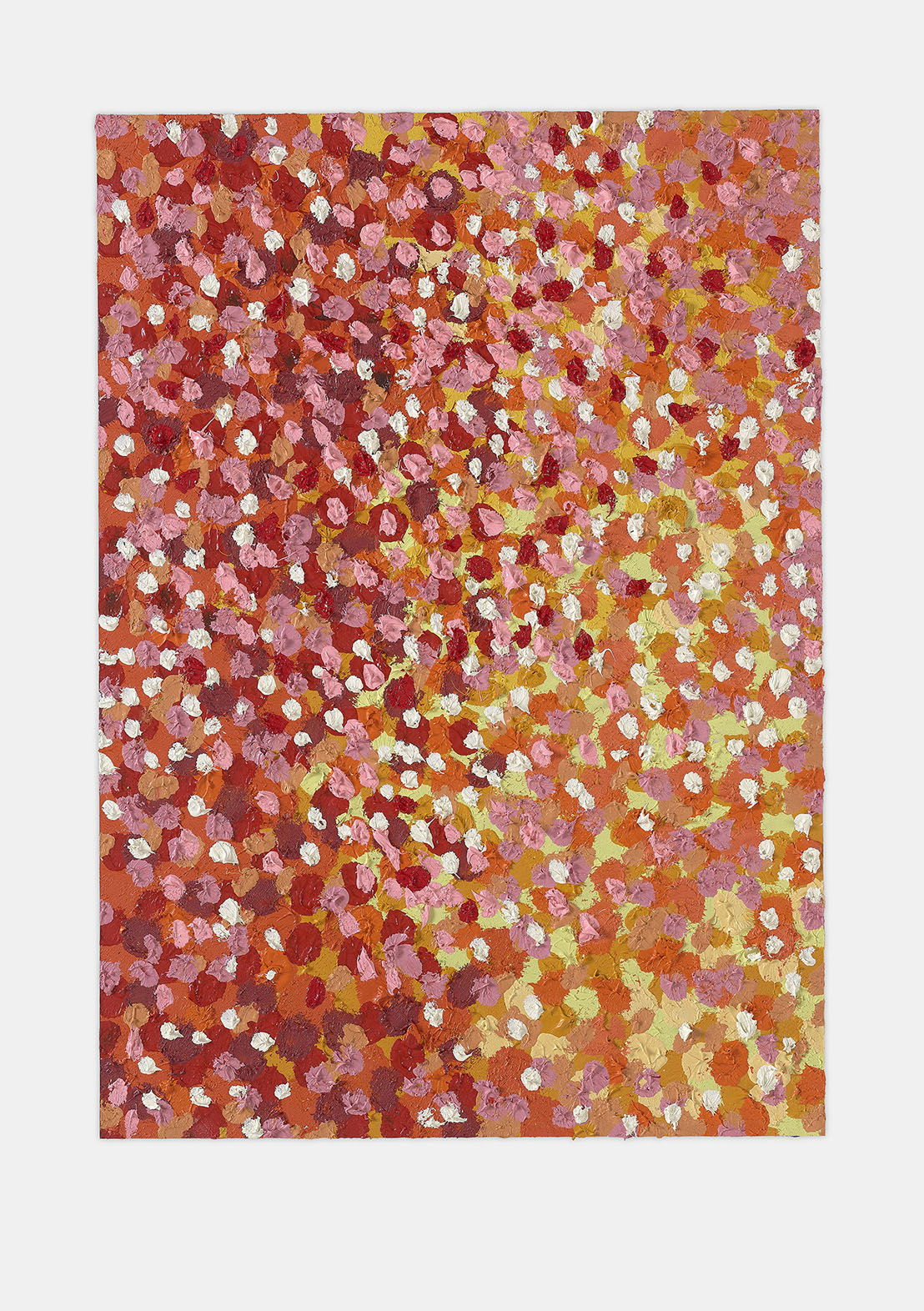 Jolly Veil 1 main image