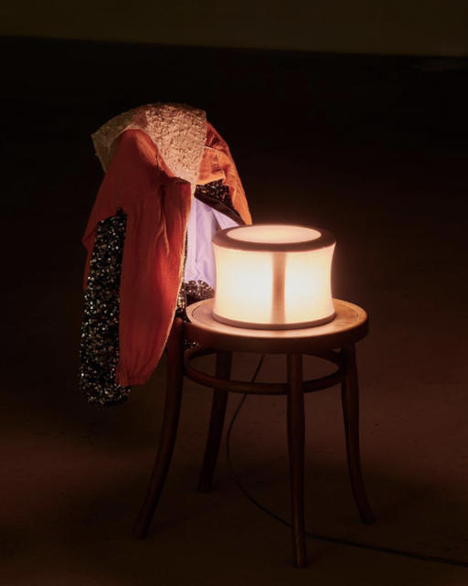 Aleana Egan: dove passages at Kerlin Gallery in Dublin
