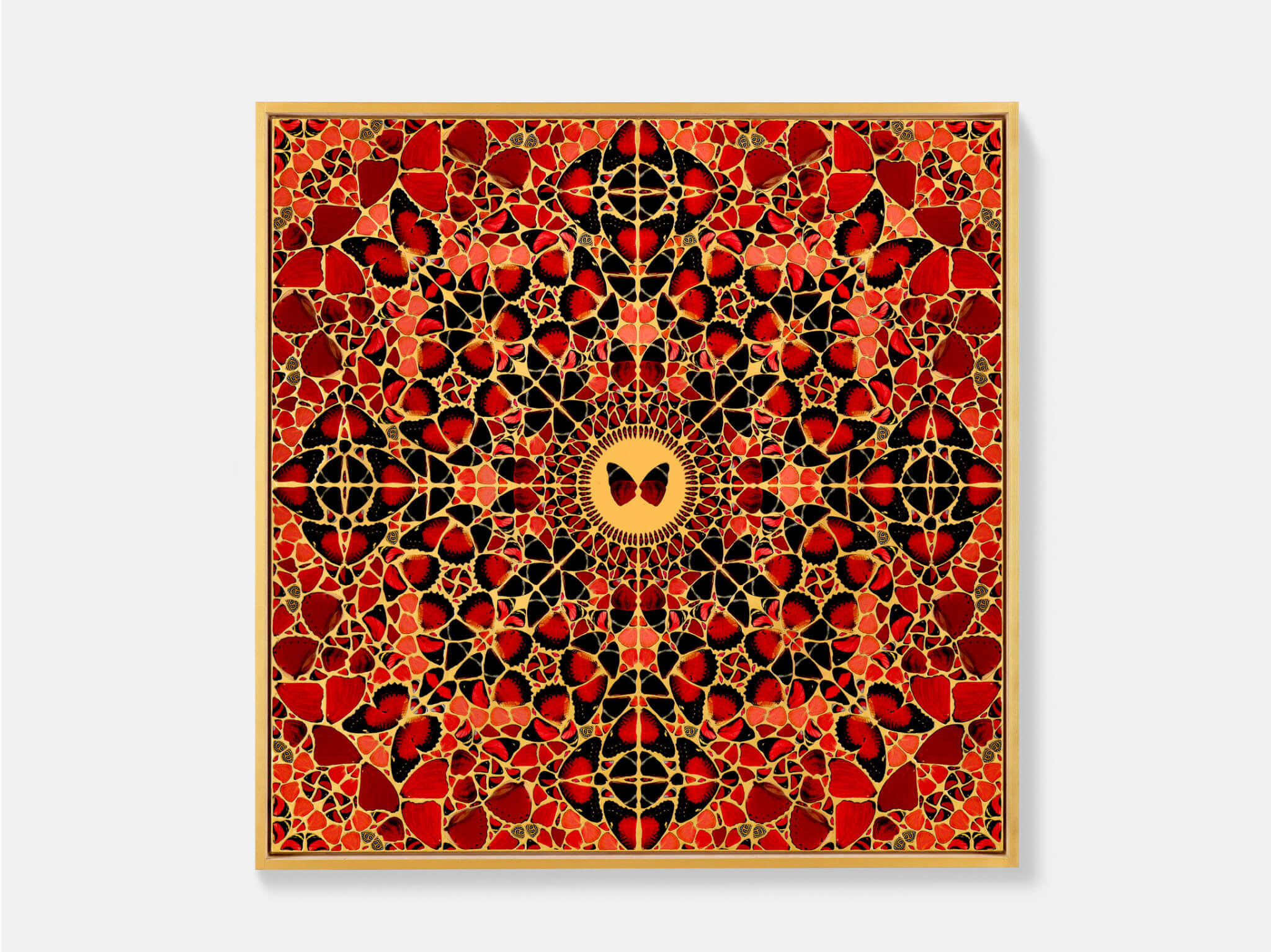 Damien Hirst – The Light That Shines | HENI Primary