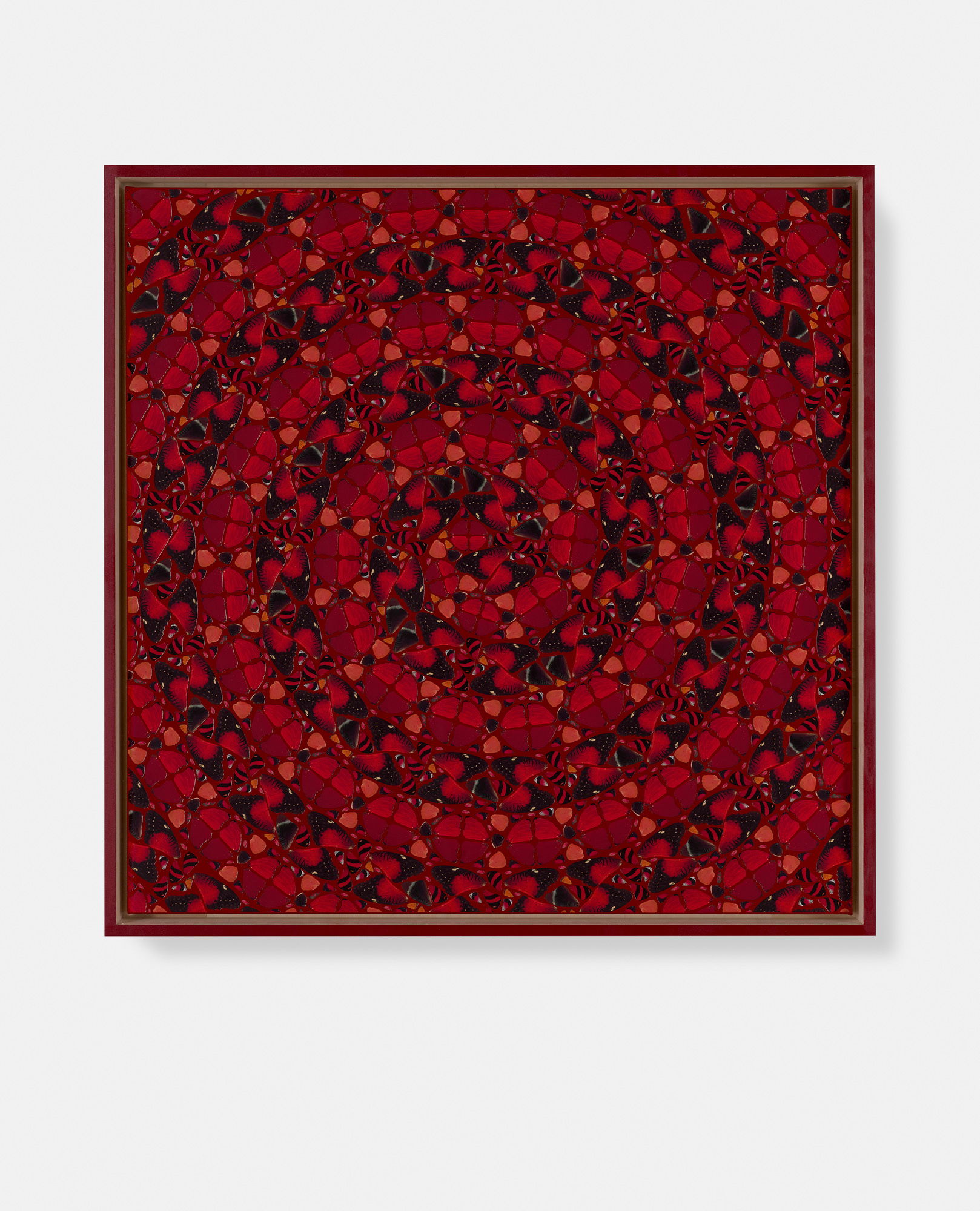 Jingū / Cunigunde / Messalina / Kōgyoku / Amelie 4