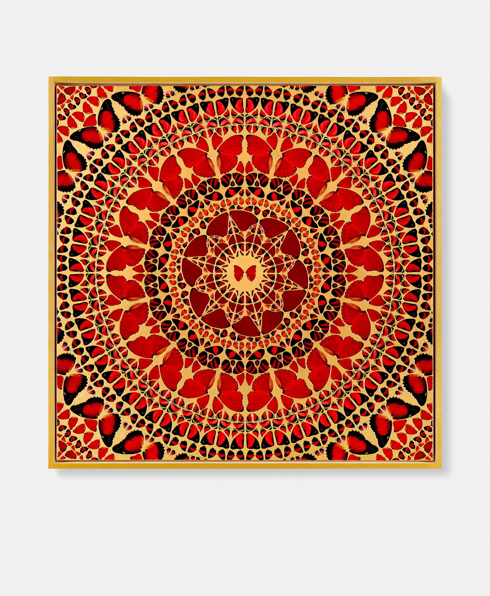 Milonia Caesonia 1 main image