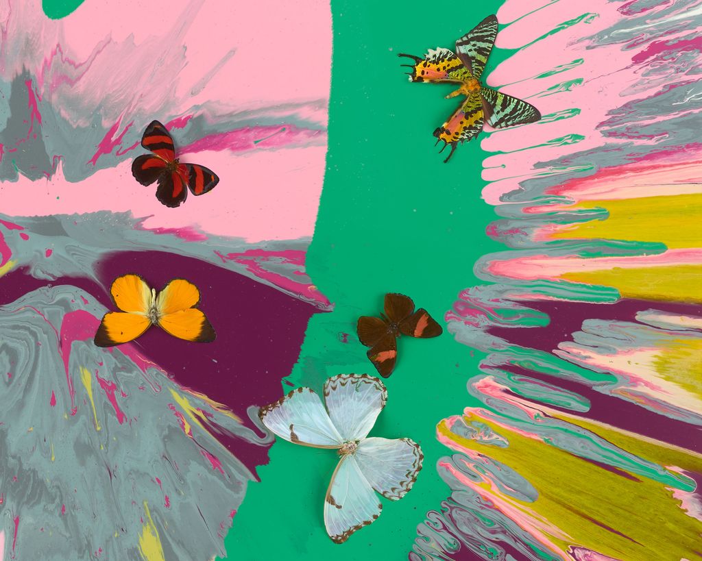 Beautiful Affection in all Directions Painting (with Butterflies) 4