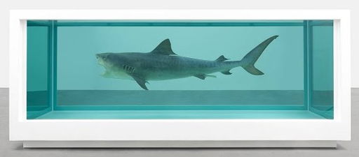 Damien Hirst: Scandals, Controversies and the Diamond Skull